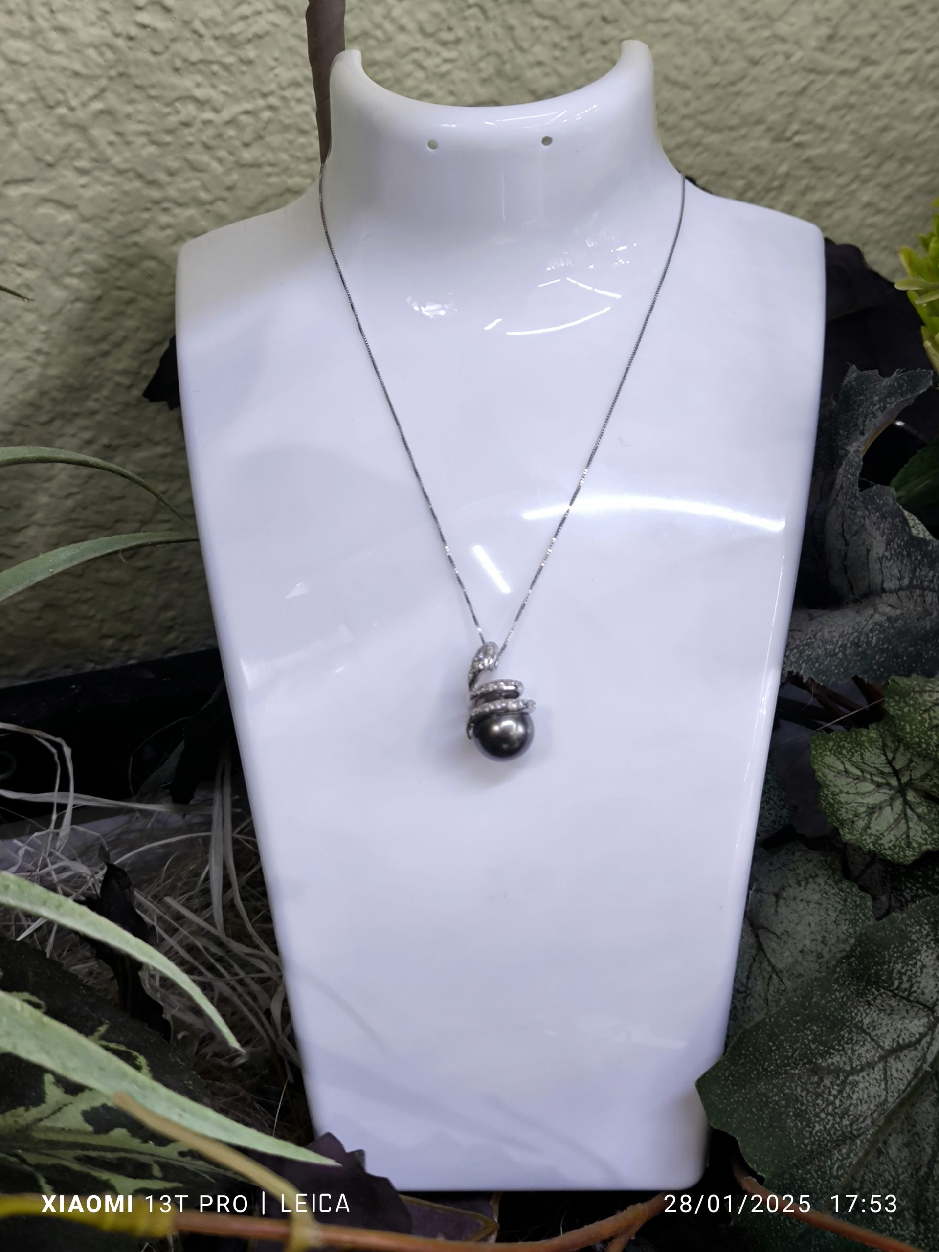 1738083524745 1738083524745