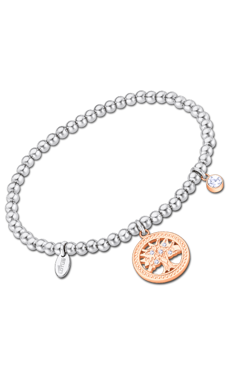 ls2171-2_4 ls2171-2_4