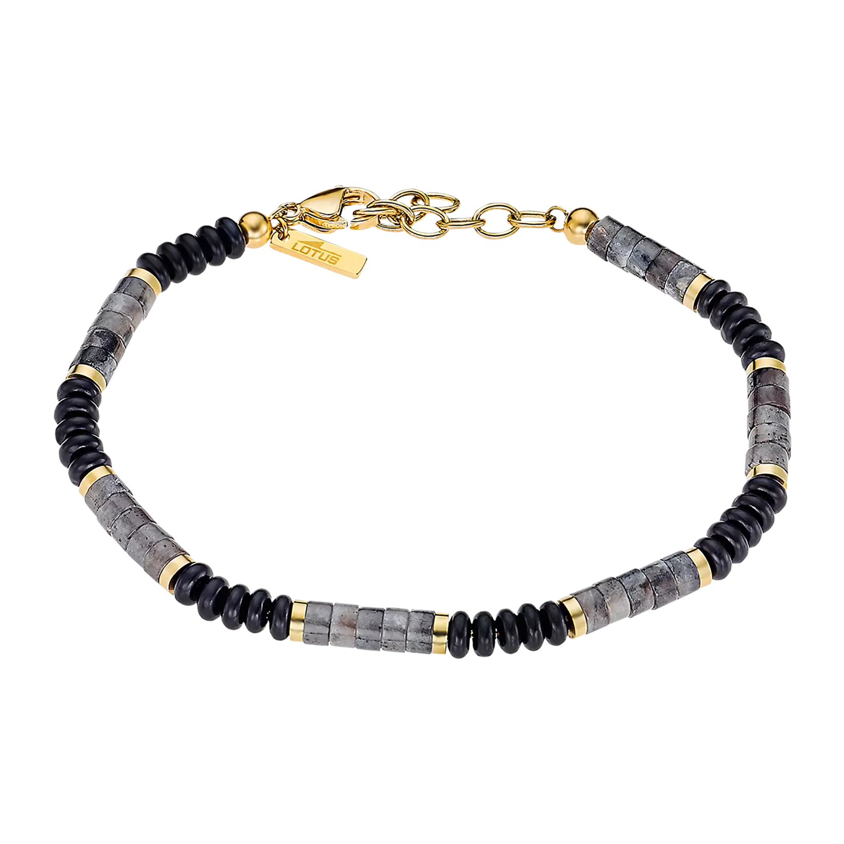 ls2373-2_1 ls2373-2_1