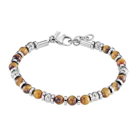 ls2446-2_1 ls2446-2_1